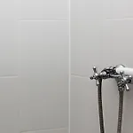 Vadszőlő Veszprém