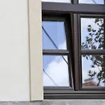 Vadszőlő