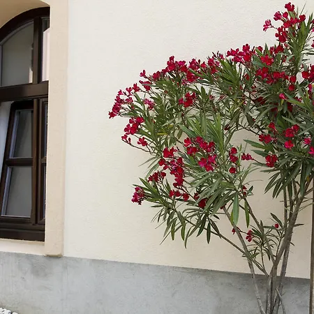 Guest house Vadszolo Vendeghaz *