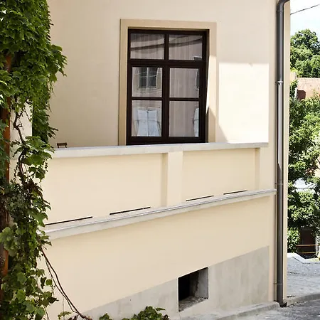 Vadszolo Vendeghaz