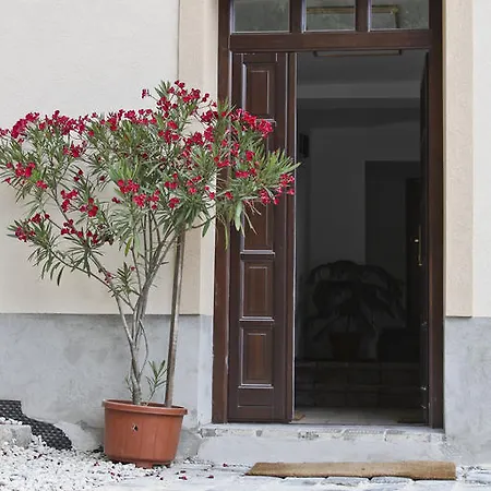 Guest house Vadszolo Vendeghaz